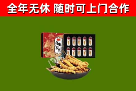 裕安区烟酒回收冬虫夏草礼盒.jpg